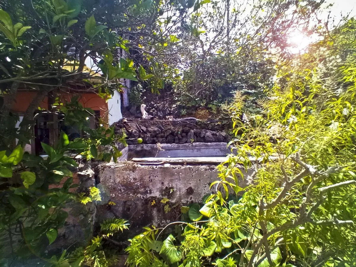 Casa Primavera Genovés スペイン